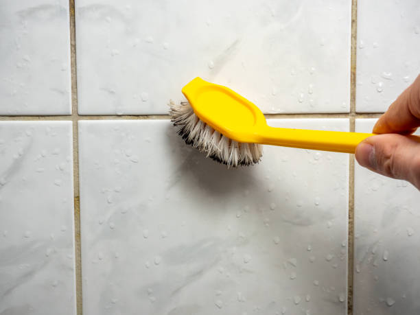 Best Black Mold Removal  in Glencoe, IL