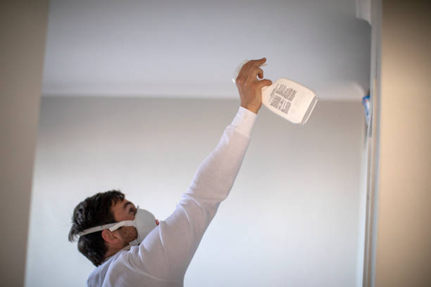 Best Residential Mold Removal  in Glencoe, IL