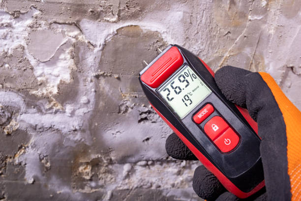 Professional Mold Removal in Glencoe, IL