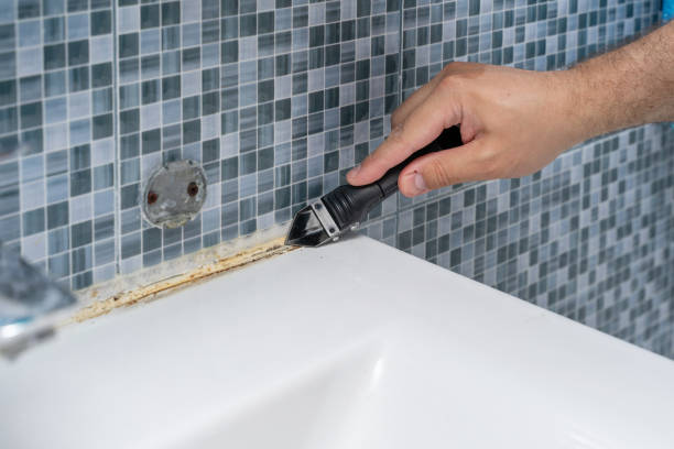 Best Mold Testing  in Glencoe, IL